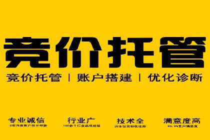 竞价市场中的端口开户策略案例